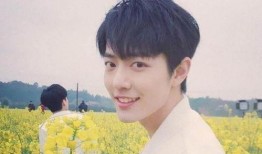 杨紫和肖战最新真实爆料,揭秘幕后故事与真实情感