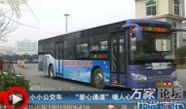葫芦岛公交车爆料新闻最新,乘客拾金不昧传递正能量