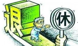 白术机制爆料最新消息,探寻其神秘功效与作用原理